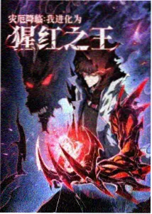 章节锚点卡片示意